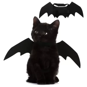 Pet Party Costume: Spook Up Your Pet in parties with These Adorable Bat Wings!