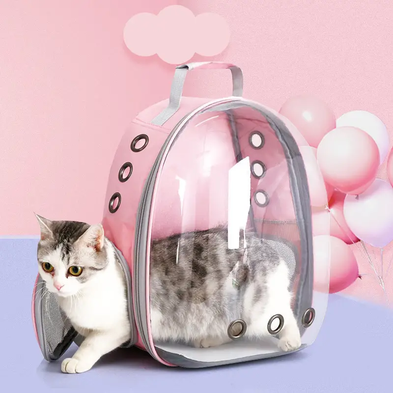 Pet Carriers & Travel Products